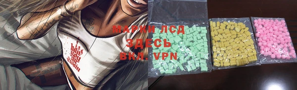 гашик Баксан