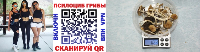 Псилоцибиновые грибы прущие грибы  KRAKEN ссылки  Химки 